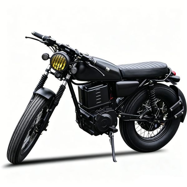high speed 2000w retro electric motorcycle for adults ckd in india